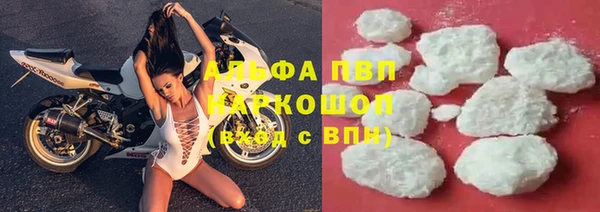 ПСИЛОЦИБИНОВЫЕ ГРИБЫ Корсаков